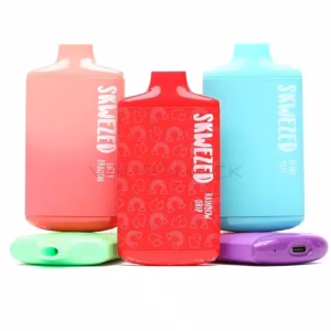 Skwezed 5000 Puff Disposable